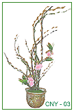 ( CNY 03 )  Pussy Willow for Chinese New Year  Decoration