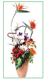 Birds In Paradise