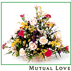 Mutual Love