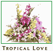 Tropical Love
