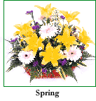 Spring