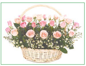 Rose Garden