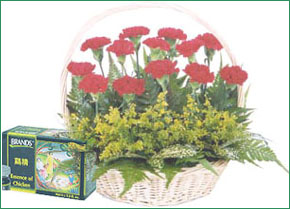 FA0016 with 6 bottle Brand's Essence Of Chicken 