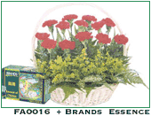 FA0016 with 6 bottle Brand's Essence Of Chicken 