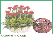 FA0016 and Cake
