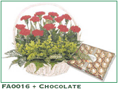 FA0016 and Chocolate