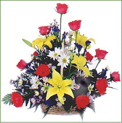 Rose - Lily