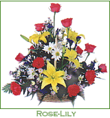 Rose - Lily