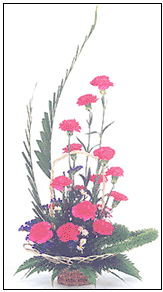 Best Wishes