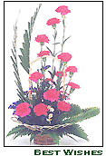 Best Wishes