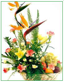Fruitfulness