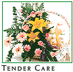 Tender Care