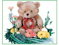 Teddy's Garden