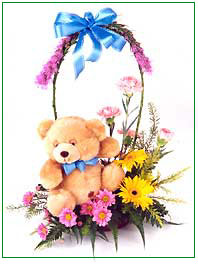 Sharon Bear