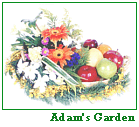 Adam's Garden