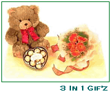 3 In 1 Gifts