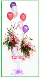 Congratulations III