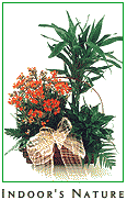 Indoor's Nature