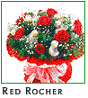 Red Rocher