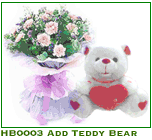 HB0003 Add Teddy Bear