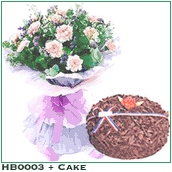 HB0003 and Cake