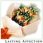 Lasting Affection