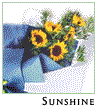 Sunshine
