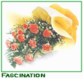 Fascination