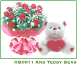 HB0011 and Teddy Bear