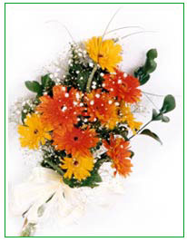 My Love 