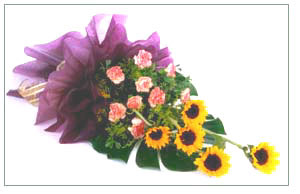 Cheerful  Delight