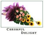 Cheerful Delight