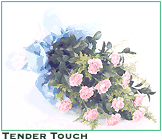 Tender Touch