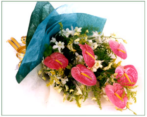 ( HB0022 )  Warm Regards