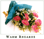 Warm Regards