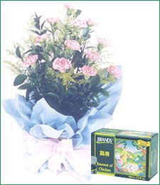 HB0029 with 6 bottle Brand's Essence of Chicken. 