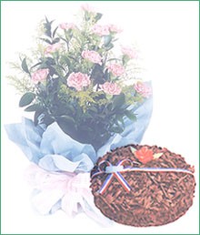HB0029 and Chocolate Cake