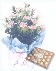 HB0029 and Chocolate