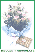 HB0029 and Chocolate