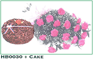 HB0030 and Cake