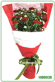 ( HB0038 )  Greatest Love | Carnation ~ flower for Hand Bouquet