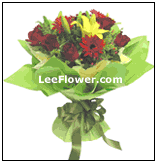 HB0039 ~ [ Prestige ]  Carnations, Geberas, Roses ~ Hand Bouquet