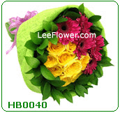 HB0040 V   ( Misty Fresh )