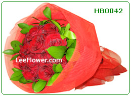 ( HB0042 )  Lady's Luck