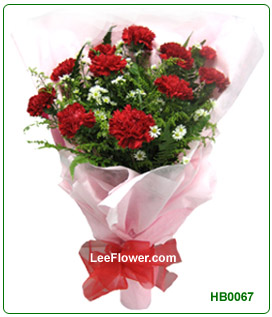 Just for you... Mom. ( HB0067 )  12 Stalks of Red Carnation with White Peacock for Hand Bouquet.