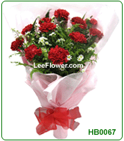 ( HB0067 )   12 Stalks of Red Carnation with white peacock .