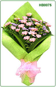 ( HB0075 )   18 Stalks of Pink Carnation for Hand Bouquet.