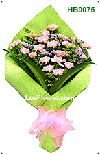 Mother's Heart  ( HB0075 )   18 Stalks of Pink Carnation for Hand Bouquet 