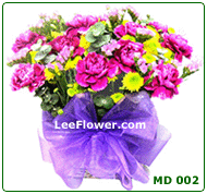 ( MD 002 )  Purple Carnation and Button Pom-pom Arrange in Classic Style.