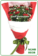 Greatest Love  ( SGHB 0038 )  12 Stalks of Red Carnation 
with peacock wrap with 2 layer paper for hand bouquet.